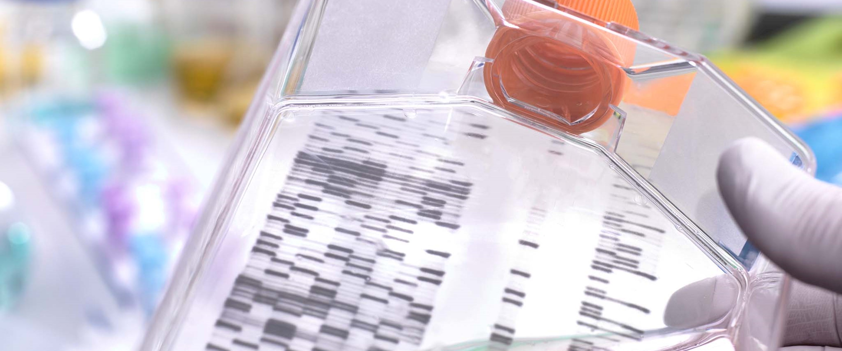 Chemical in a beaker