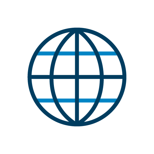 Globe icon